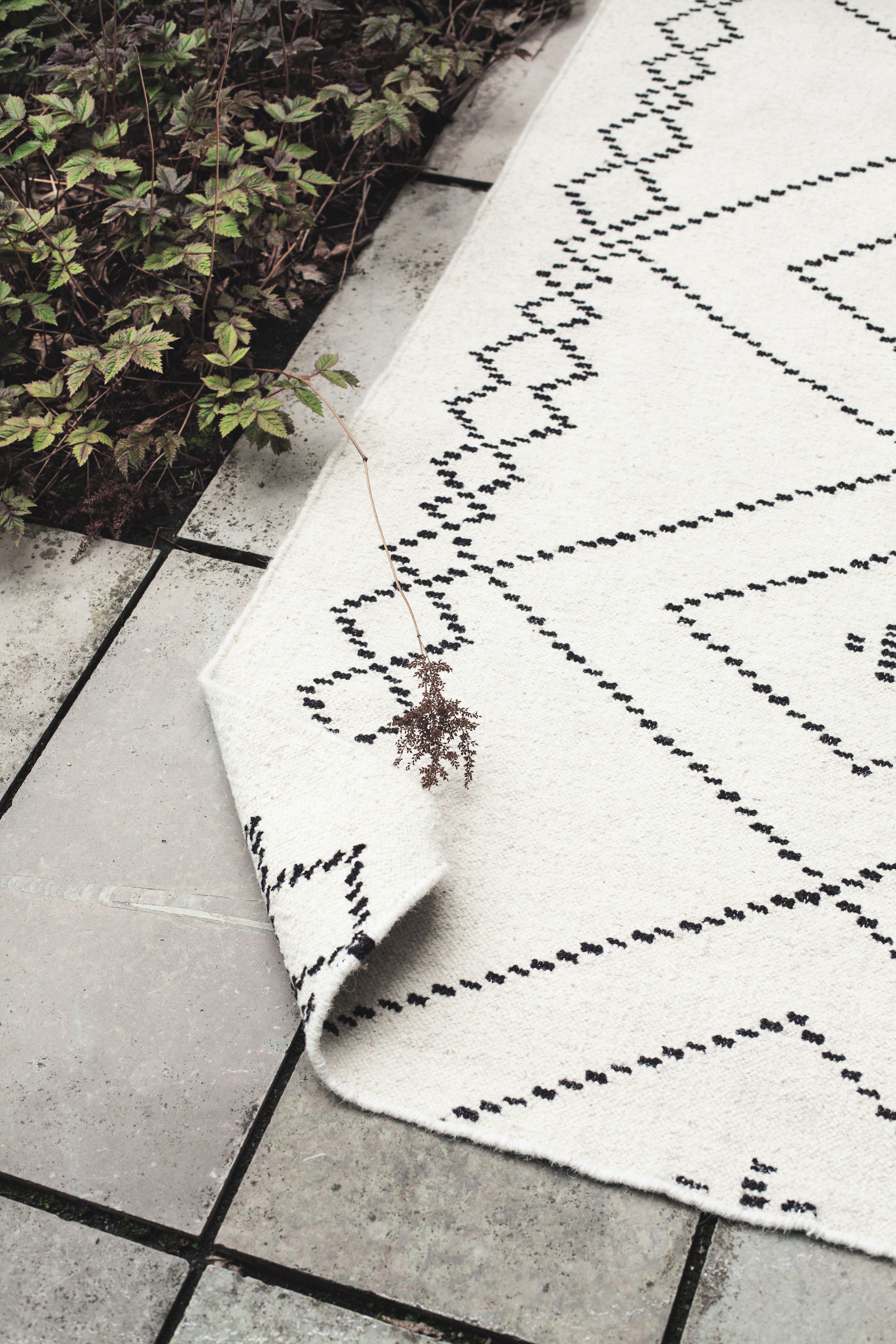 Koko Iäksi, Saana ja Olli