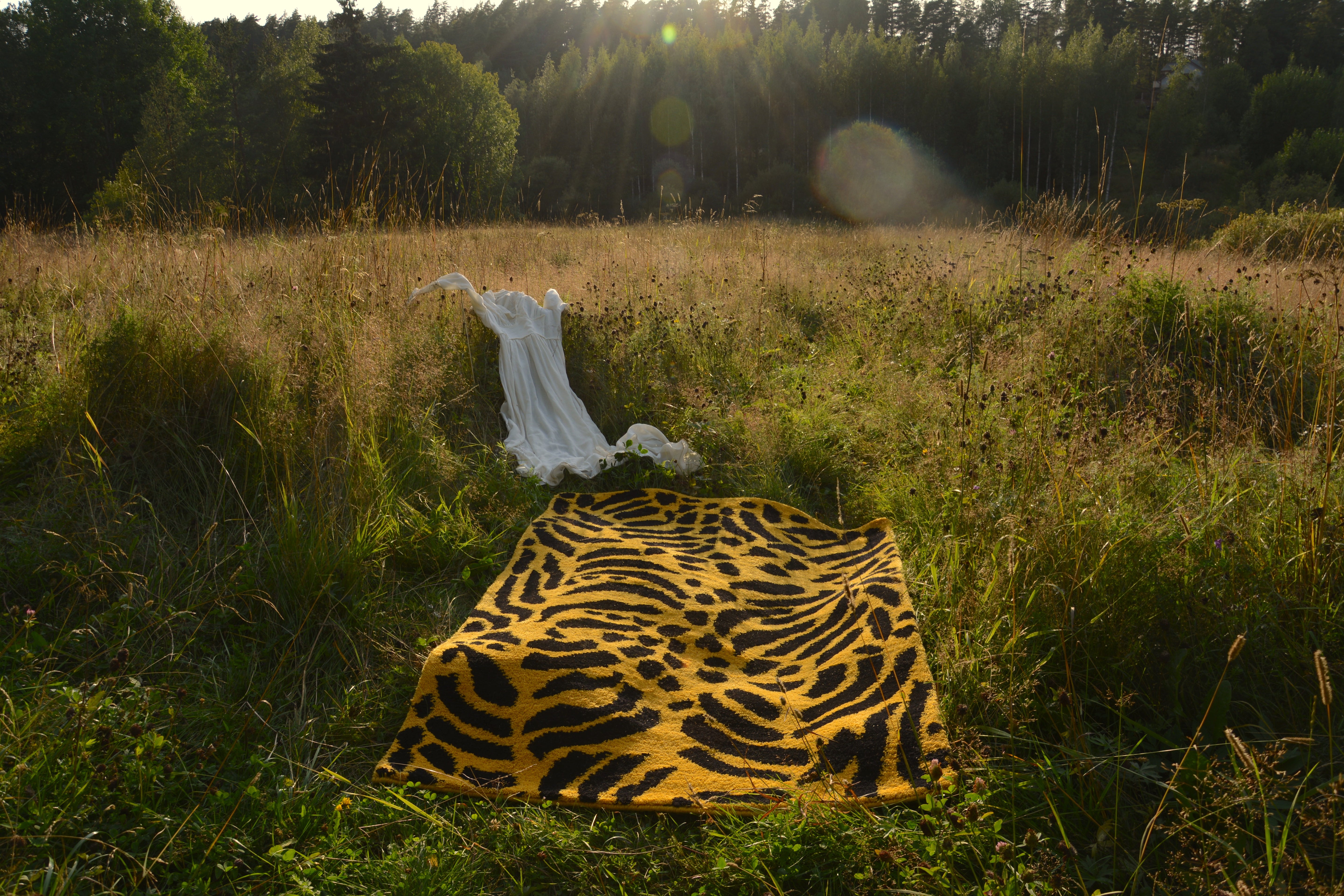 Tigerlily by Paavo Halonen