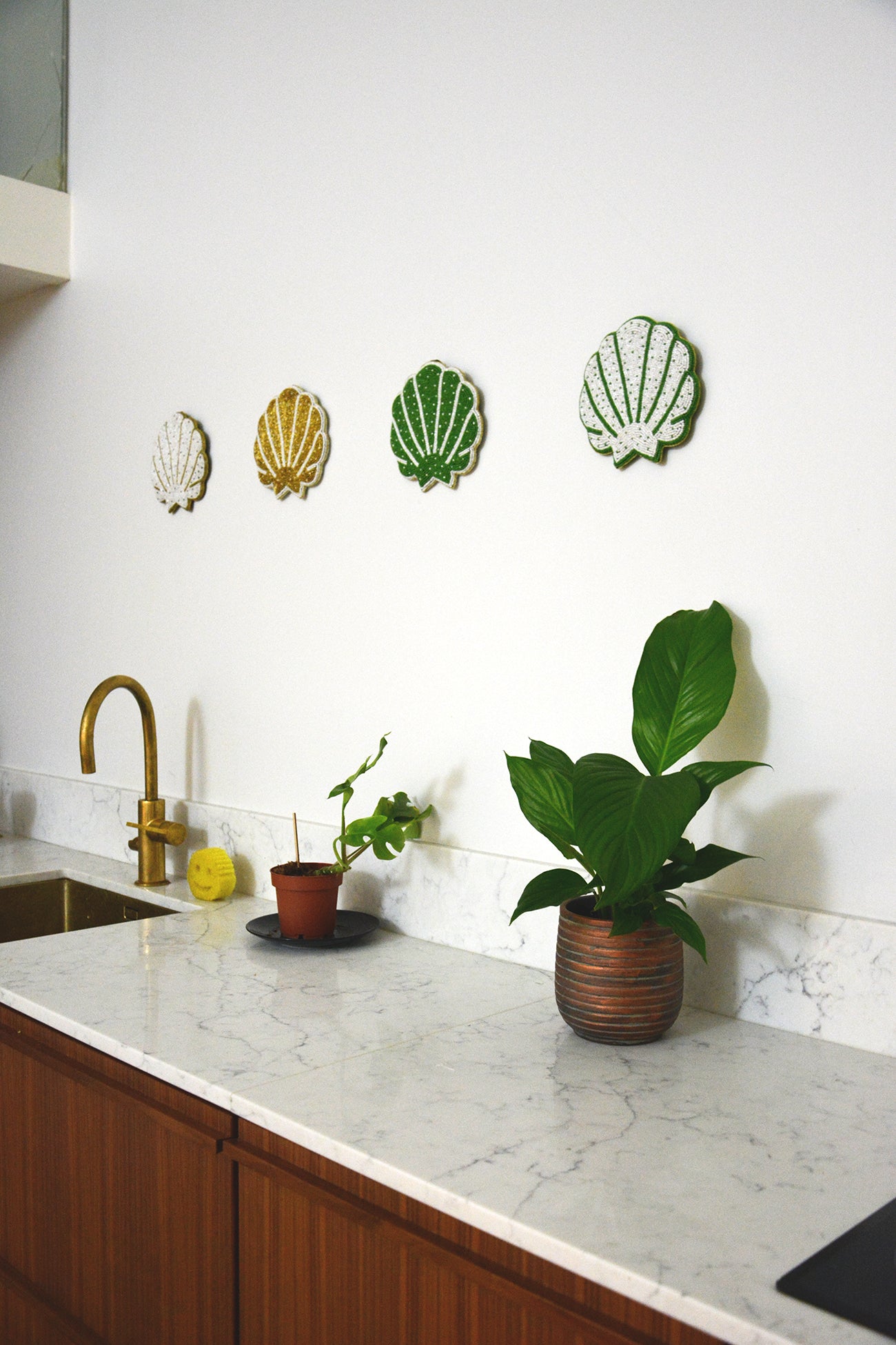 Shell by Hanna Anonen