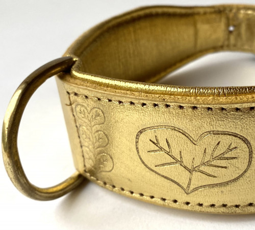 GOLDEN mums dogs koira kulta lemmikki pet panta collar HR GOLDEN mums dogs koira kulta lemmikki pet panta collar HR