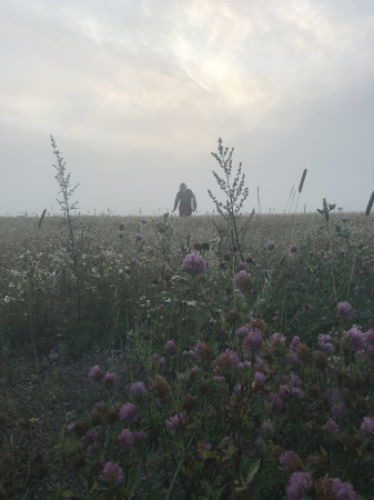 PIPANA fiilis PIPANA fiilis