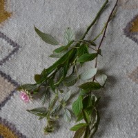 valhalla luonnollinen valkoinen villamatto mums hr